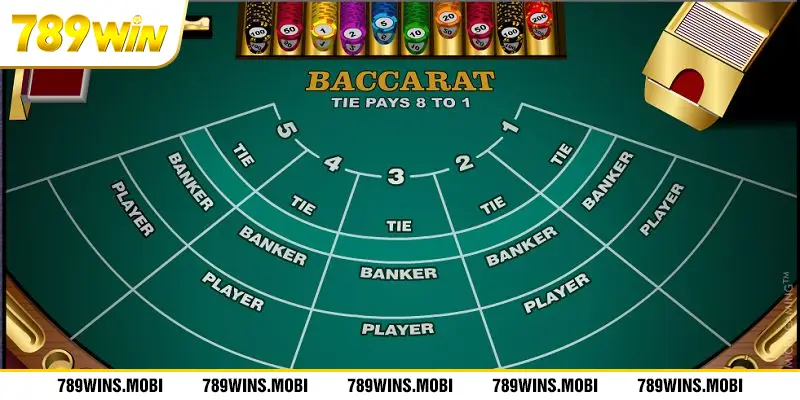 Điểm qua thuật ngữ trong cách chơi baccarat