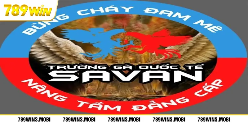 Trường gà Savan: Địa điểm chọi gà hàng đầu, an toàn và tiện ích